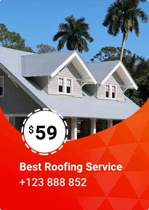 Roofing and Chimneys